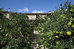 agroturismo ses illes