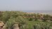 siva grand beach hotel