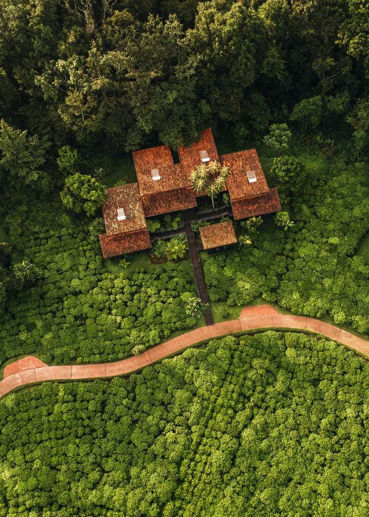 oneandonly nyungwe house