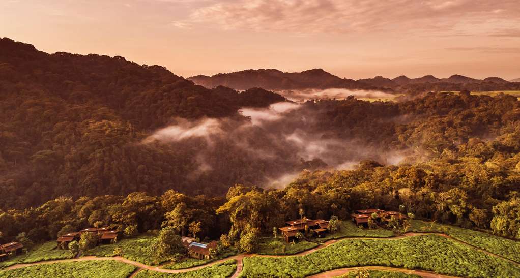 oneandonly nyungwe house
