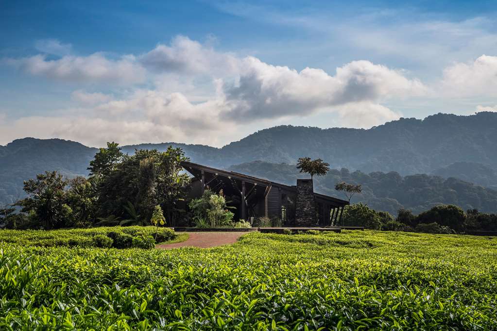 oneandonly nyungwe house