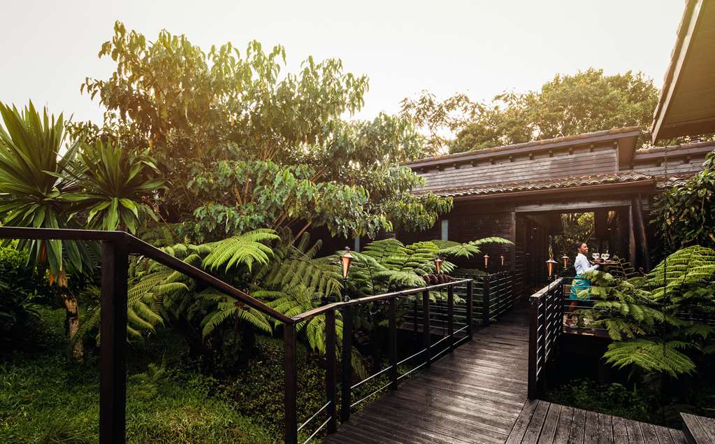 oneandonly nyungwe house