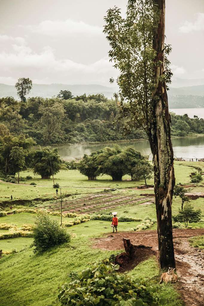 oneandonly nyungwe house