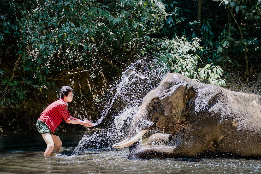 ngwe saung yacht club and resort