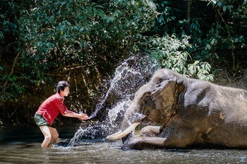 ngwe saung yacht club and resort