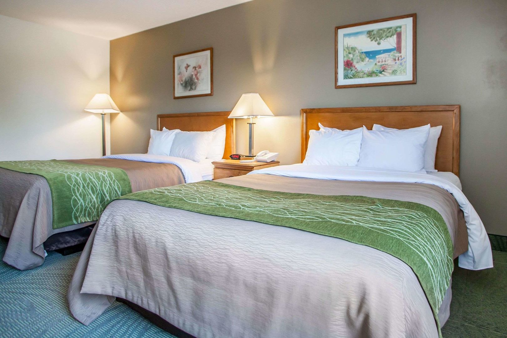 comfort inn muscatine near hwy 61