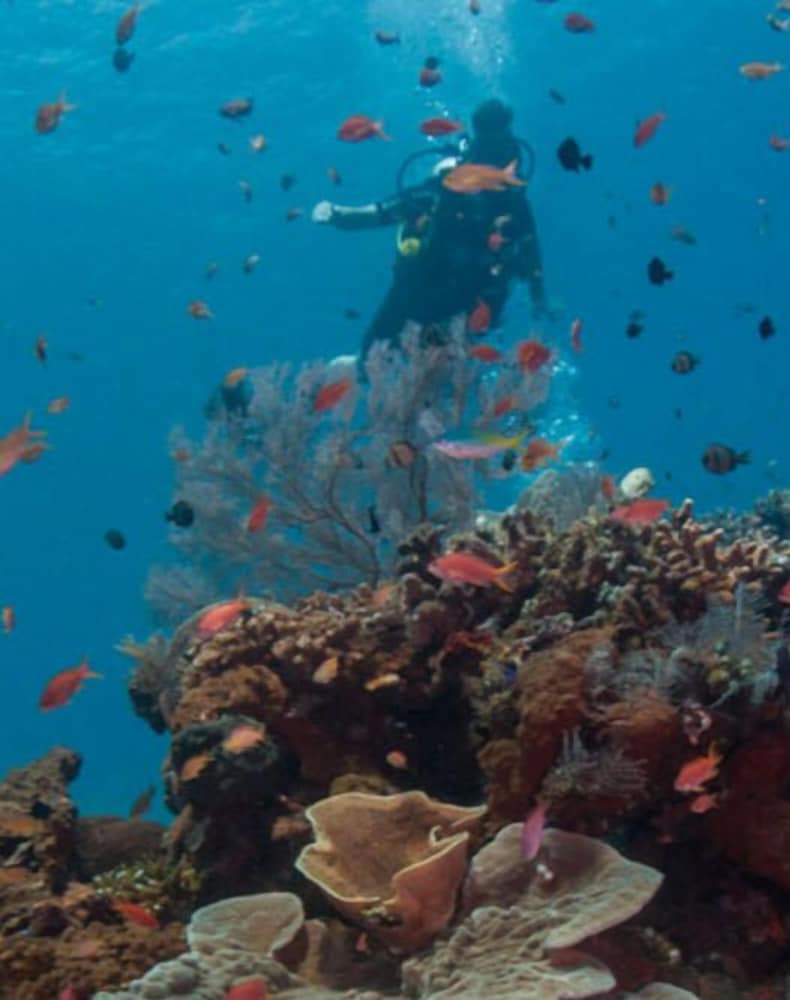 puri wirata dive resort and spa