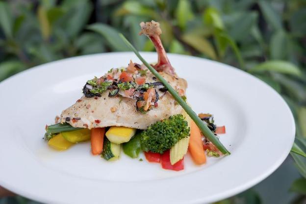 moksha himalaya spa resort