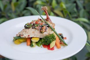 moksha himalaya spa resort