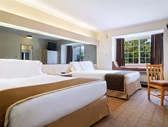 quality inn and suites