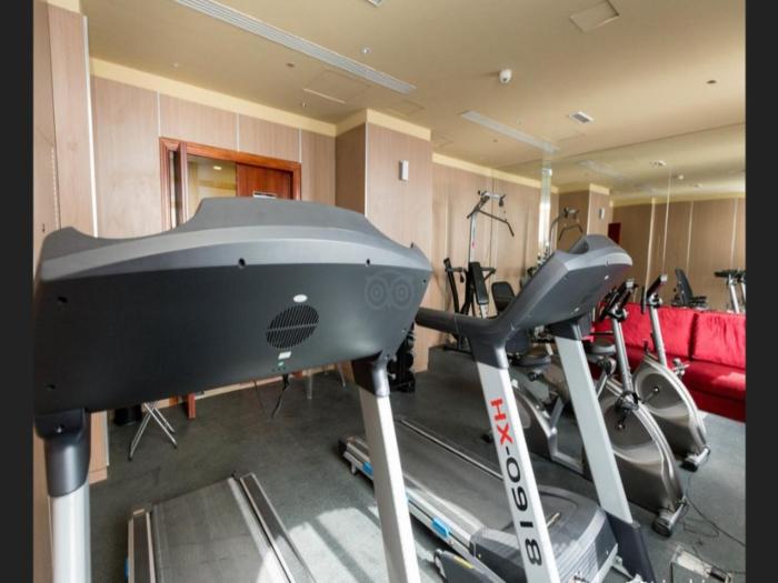 palette royal reflections hotel and spa dubai