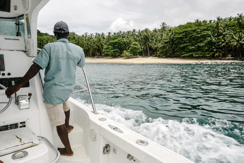 bom bom principe collection