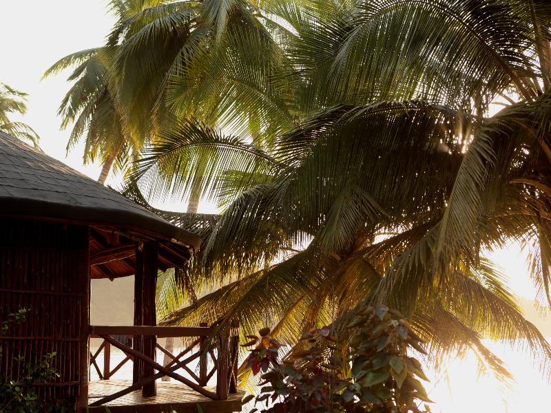 bom bom principe collection