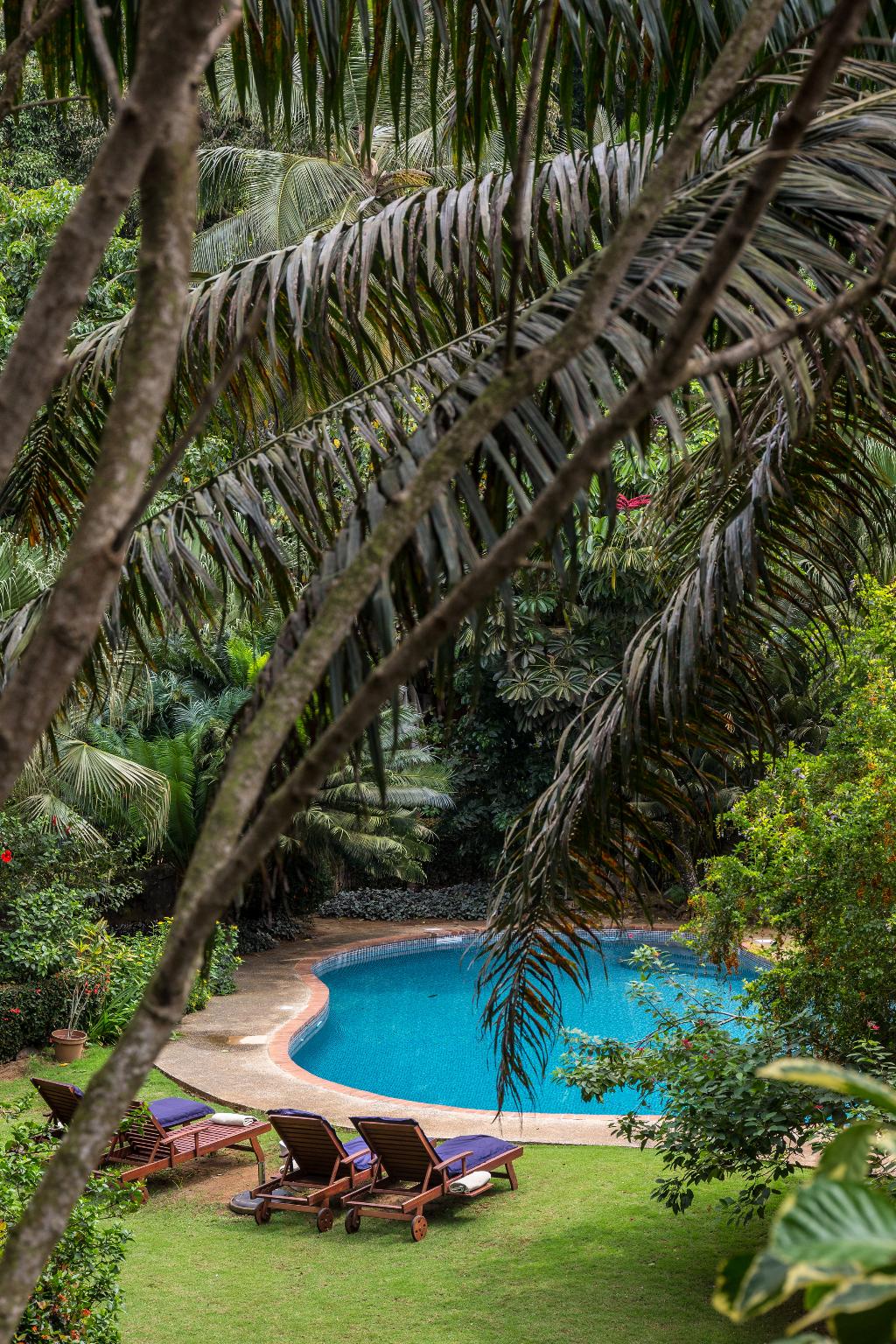 bom bom principe collection