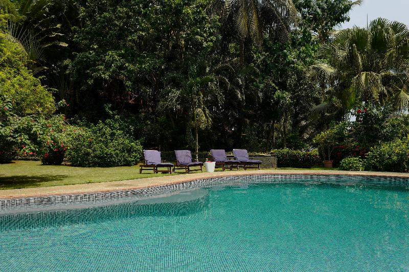 bom bom principe collection