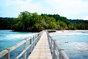 bom bom principe collection