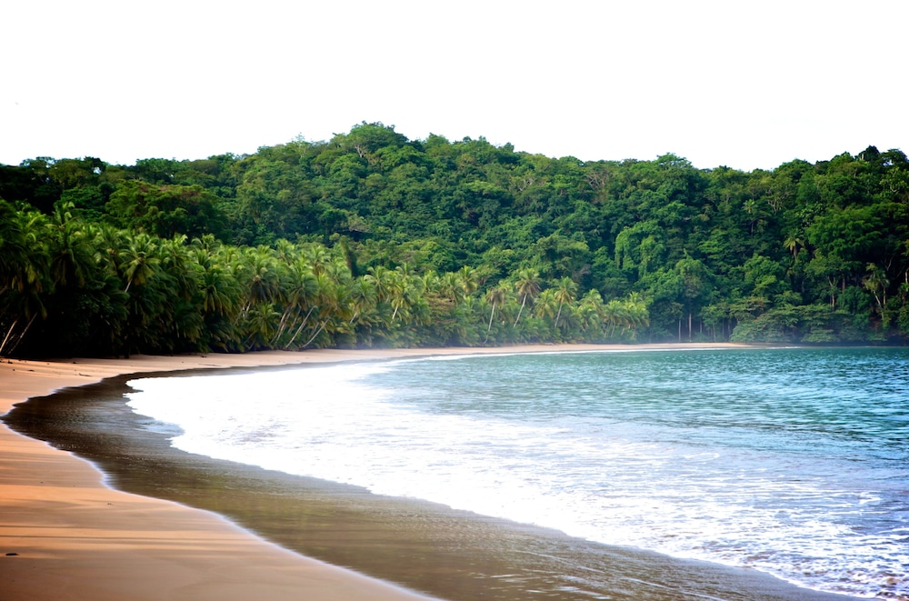 bom bom principe collection