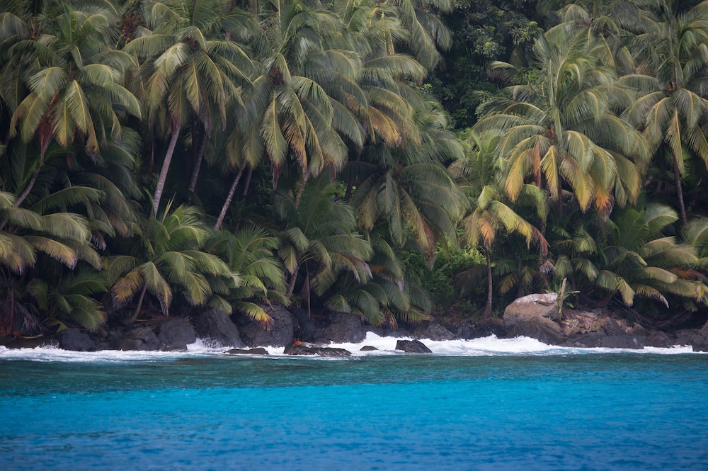 bom bom principe collection