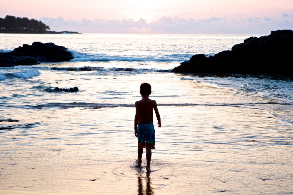 bom bom principe collection