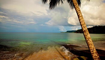 bom bom principe collection