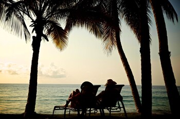 bom bom principe collection