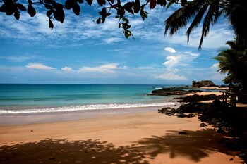 bom bom principe collection