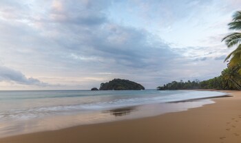 bom bom principe collection