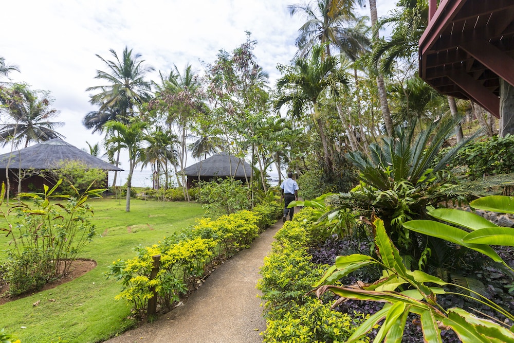 bom bom principe collection