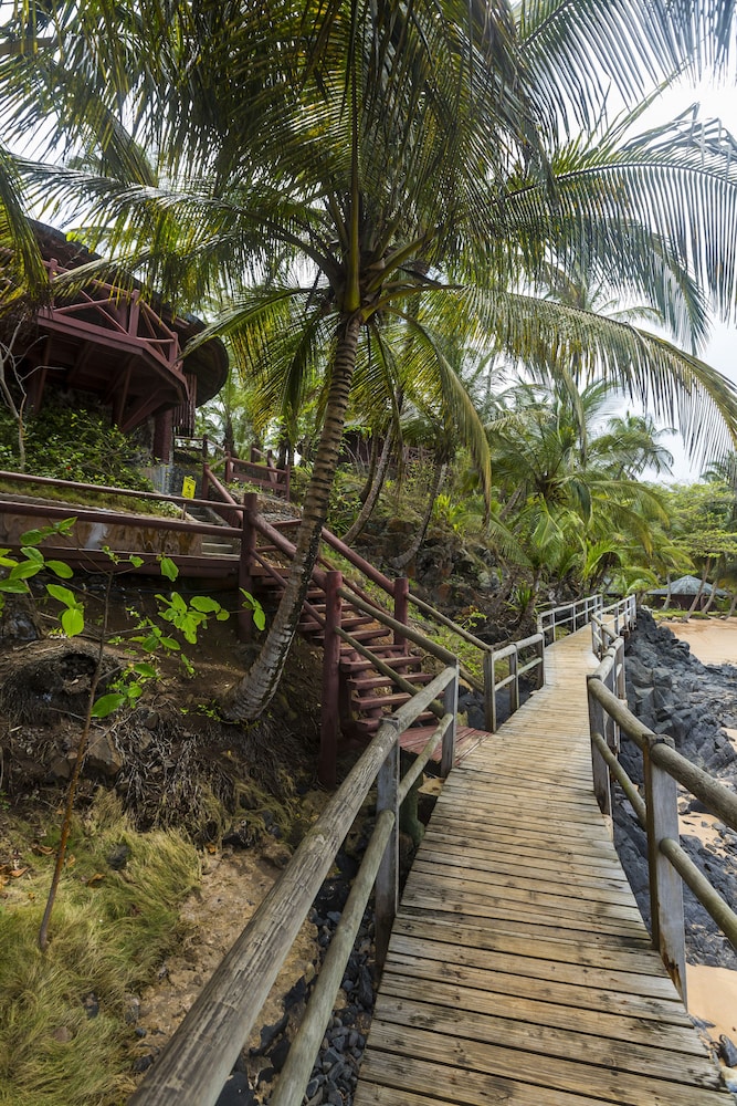 bom bom principe collection