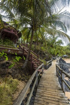 bom bom principe collection