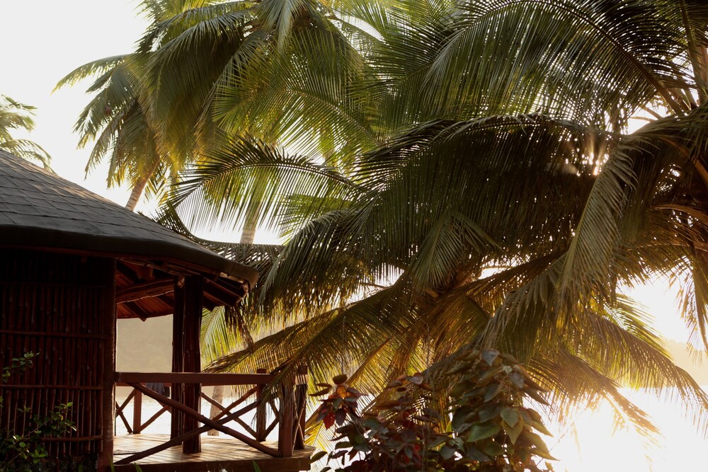 bom bom principe collection