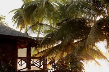 bom bom principe collection