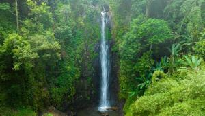 omali sao tome