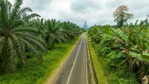 omali sao tome