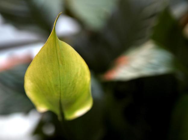 k pop hotel seoul station