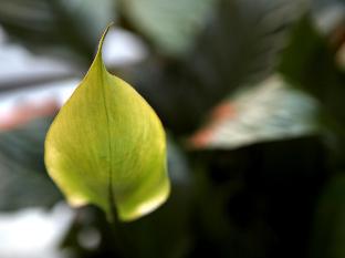 k pop hotel seoul station