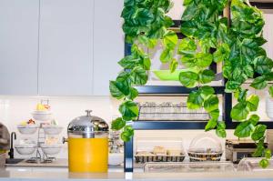 ibis budget sydney east