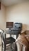best western mountain view inn