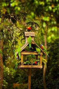 crystal brook tourist park