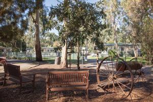 crystal brook tourist park