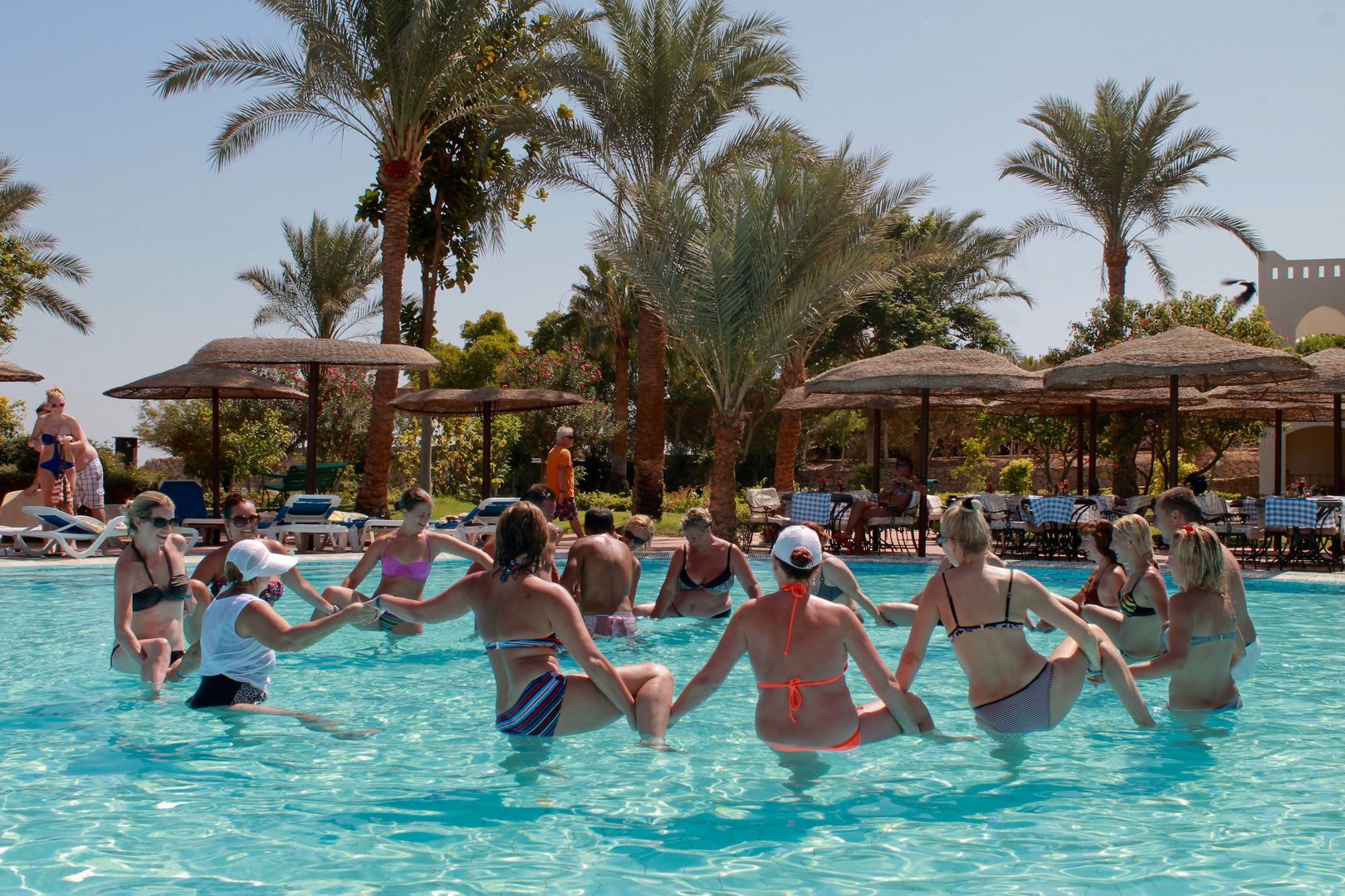 albatros royal grand sharm el sheikh