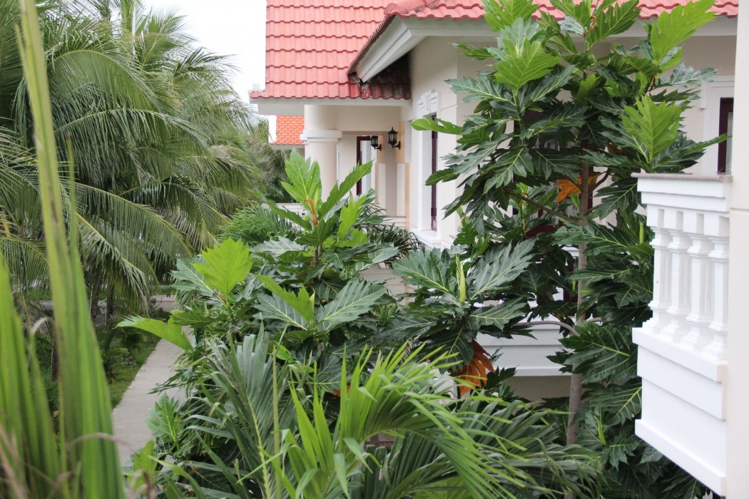 gm doc let beach resort and spa