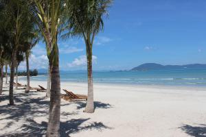 gm doc let beach resort and spa