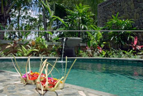 nefatari exclusive villas