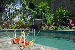 nefatari exclusive villas