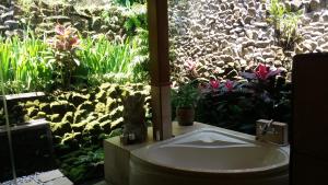 nefatari exclusive villas