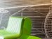 ibis styles paris velizy