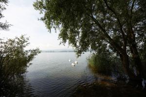 hotel bora hotsparesort