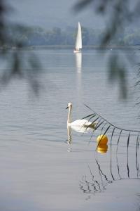 hotel bora hotsparesort