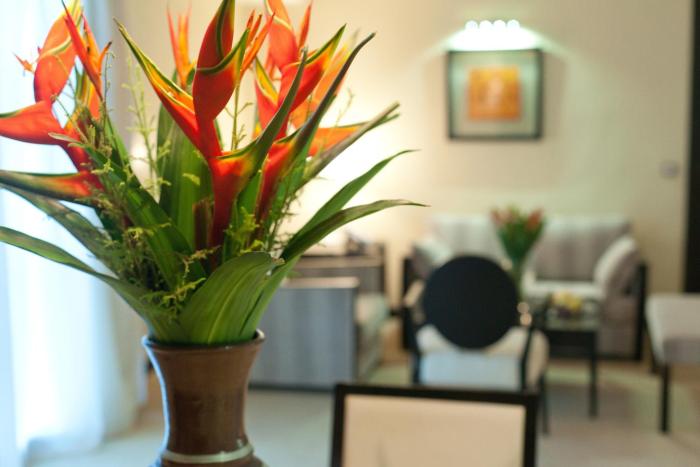 grand lancaster brazzaville